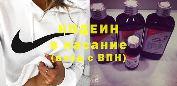 сатива Балахна