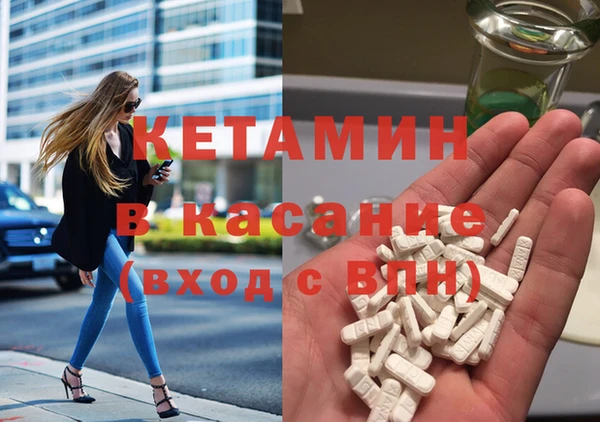 сатива Балахна