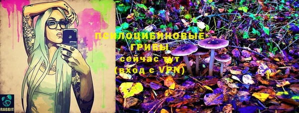 прущие крисы Арсеньев
