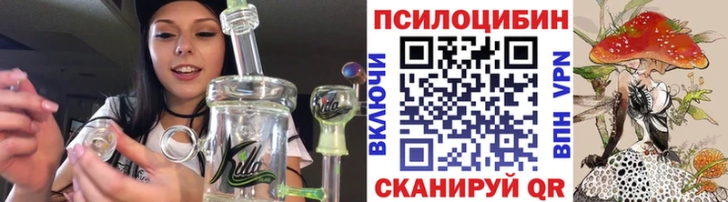 Галлюциногенные грибы Cubensis Суровикино