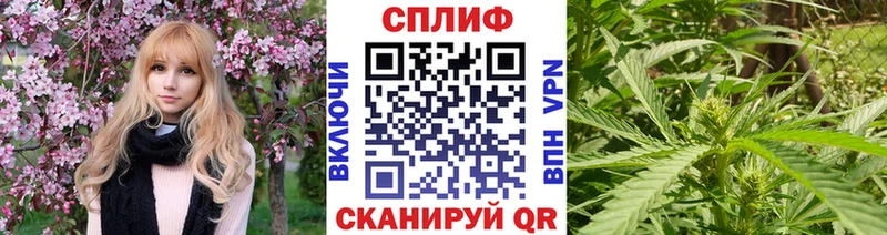 Канабис сатива  Суровикино 